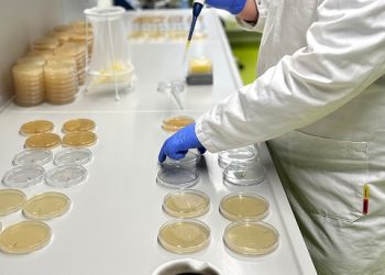 Fruit Logistica: FOOD freshly® kicks off 2024 with two ground-breaking innovations and a new distribution partnership