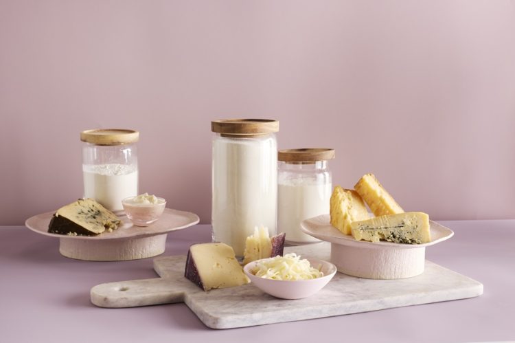 U.S. Dairy: A Trusted Partner in Supplying Sustainable, Functional Ingredients for the Middle East Food Industry